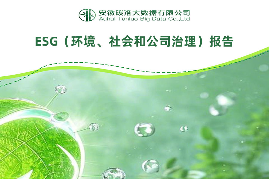 Zhejiang Detong Transformer Co., Ltd.